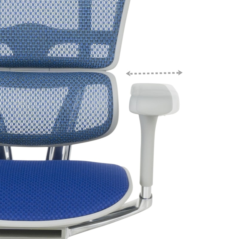 Ергономичен офис стол Ergohuman Elite 2 син-сив